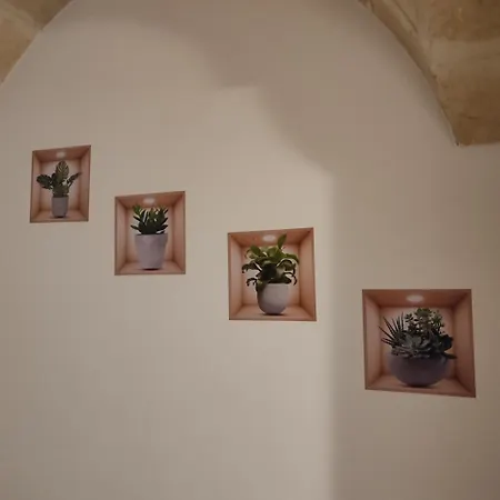 History House *